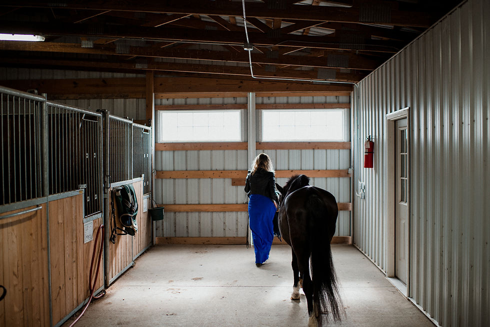 William Family Sessions