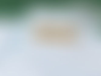 Tax documents on the table