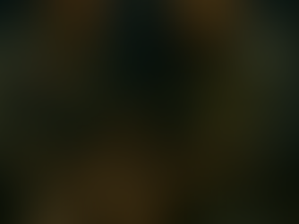 יממה בלתי אפשרית בזקסנהאוזן פרק מספר 22