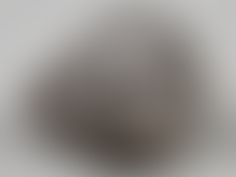 בין הצלב לכוכב פרק מספר 60