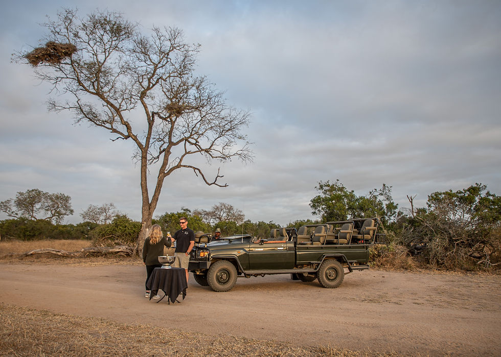 NottensSundowners Sabi sand Safari