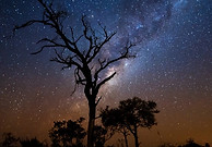 Sabi Sand safari stargazing