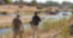 lion_sands_safari_4_bush_walk-6_preview