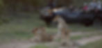 lion_sands_narina_lodge8_edited