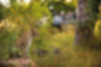 lion_sands_safari_4_game_drive-4_preview