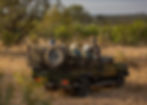 NottensGamedrive Sabi sand Safari