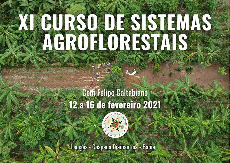 XI CURSO (2).png