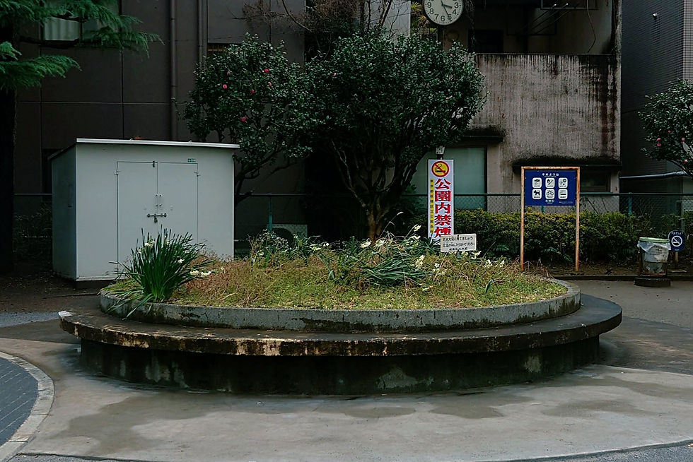 Before／活動前の花壇