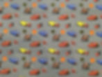 LIC-005