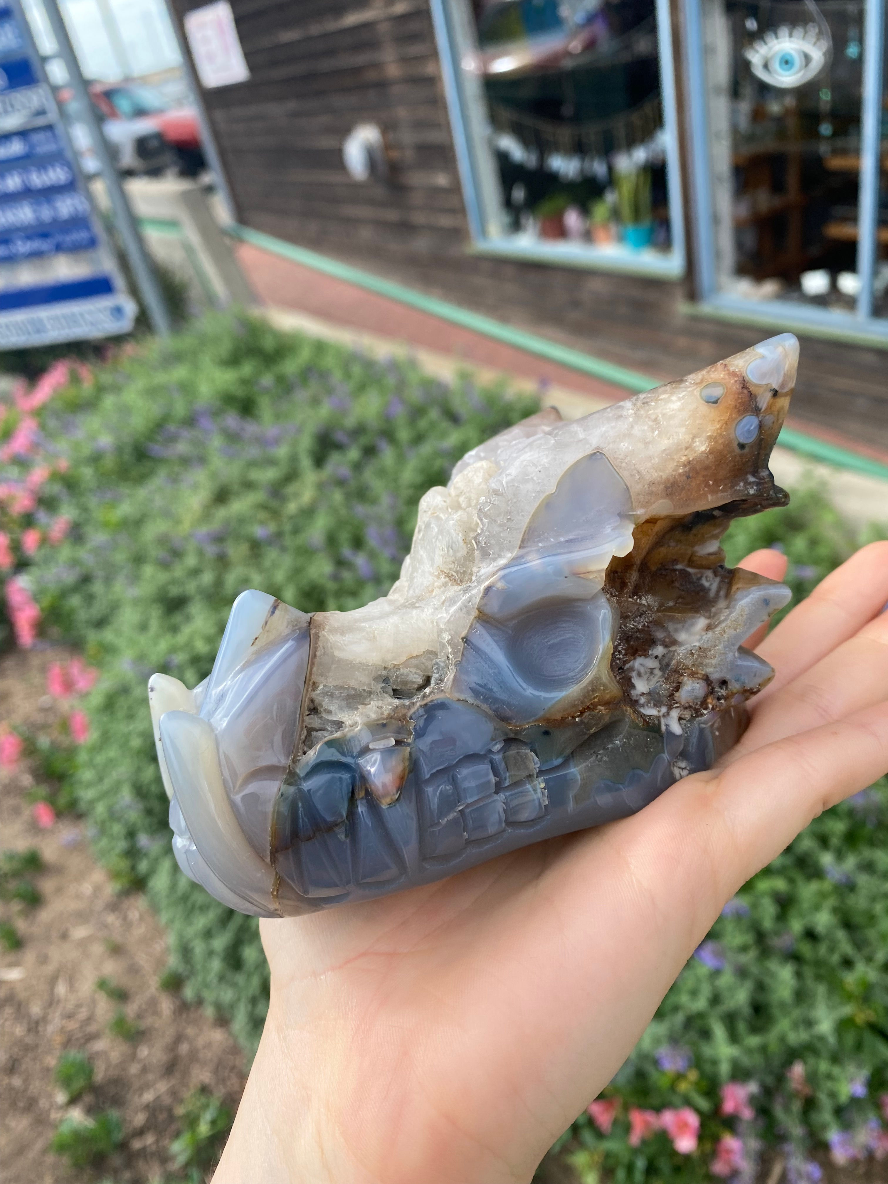 Crystal Dragon Skulls