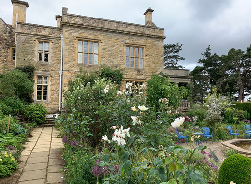 Kiftsgate Gardens: A Hidden Gem