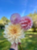IMG_1683.JPEG