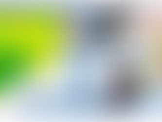 Worst-Case Coffee Frost in Brazil 