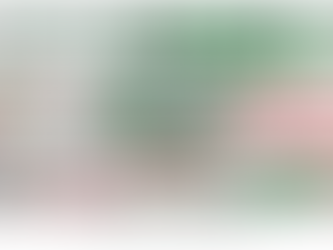 How Bearish are the GCA stocks?