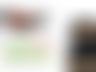 Coffee Report Focus 3: Open Interest