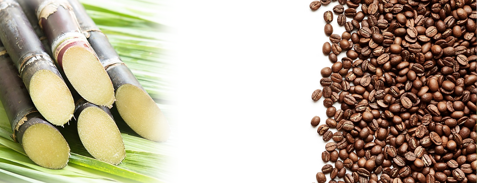 Coffee-Sugar.png
