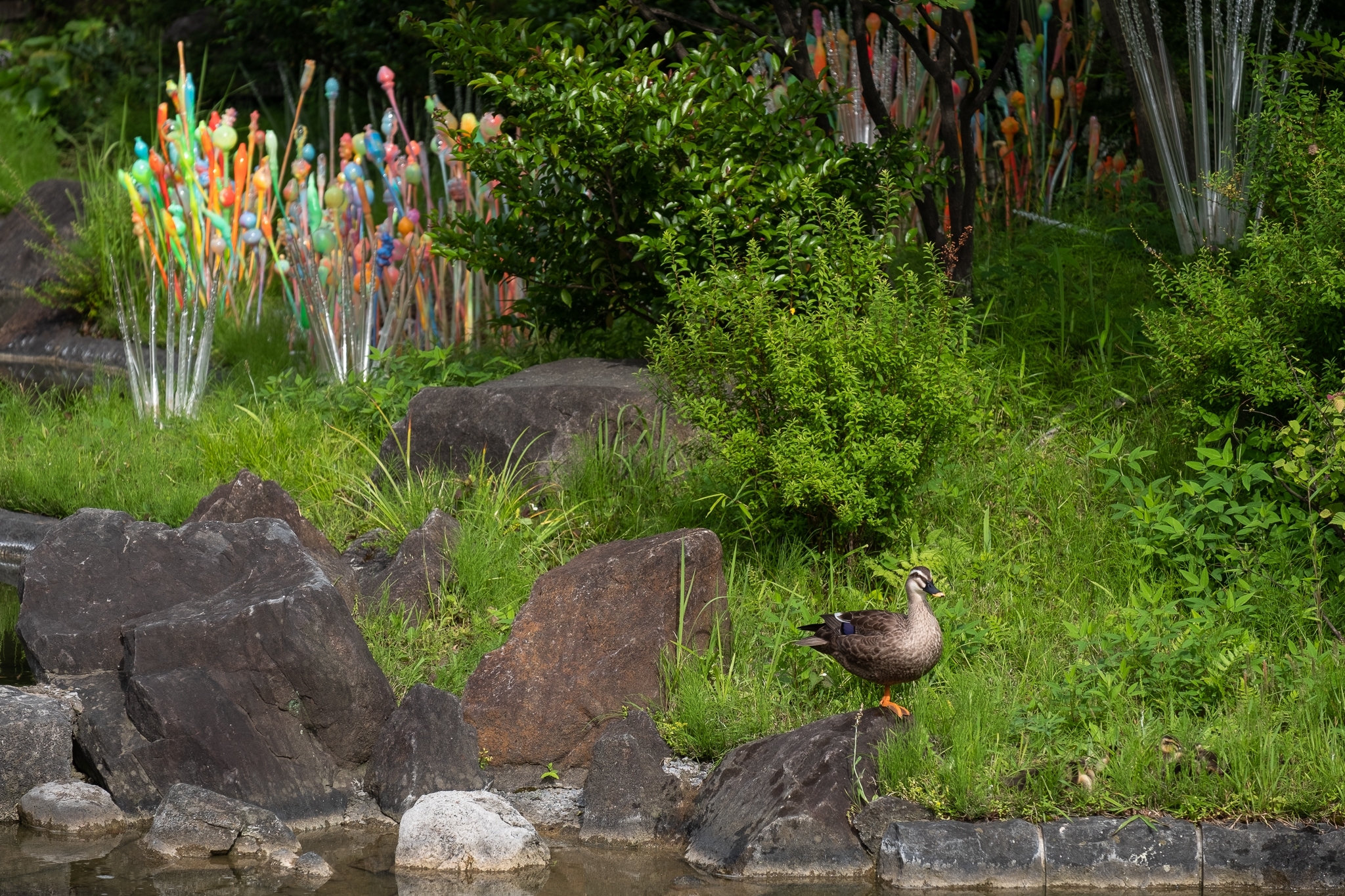 六本木アートナイト2018 毛利庭園