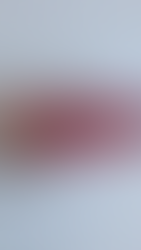 SupremeMfgCo Vintage Supreme Latching Lighter Case with Waterproof Rubber Seal and Keychain Loop (Red or Clear Colors)