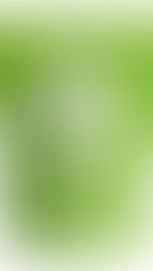 JustPea Pea Protein Powder (750grams)