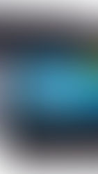 Burlington Cotton Crew Socks (Black / White) (10pairs)