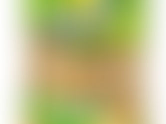 Hampton Farms USA-Grown Salted Roasted In Shell Peanuts (Multiple Size Bags)