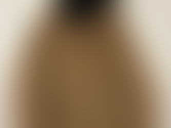 Carhartt Vintage J140 Hooded Quilt-Lined Work Jacket Cotton with Polyester Stuffing insulated for very cold weather (Multiple Sizes) NO LONGER MADE IN USA