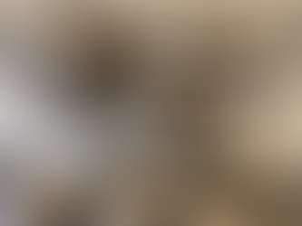 FarberwareCookware Aluminum Clad Cookware; Pan, Pot, and Lid with Steel or Rubberized Handle (Multiple Sizes / Varieties) NO LONGER MADE IN USA