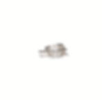 Bague en argent « Feuille » – Collection Oleaceae