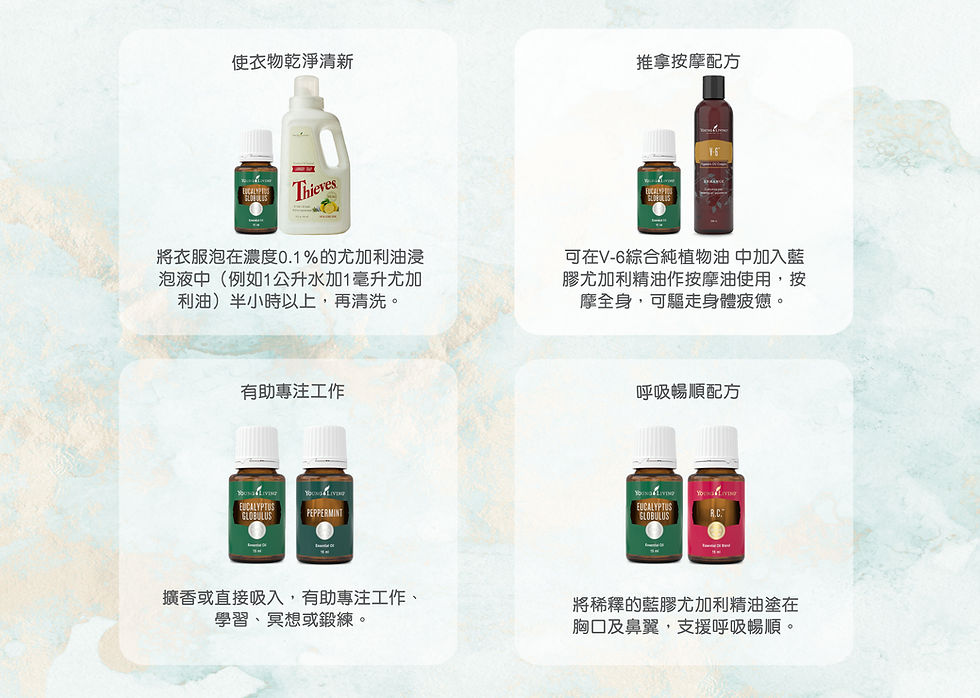 Thumbnail: Eucalyptus Globulus 藍膠尤加利精油 15ML