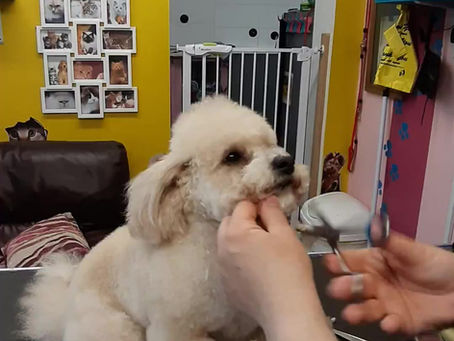 06 June 2019 - AH!!!!!