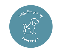 Stickers Codifications post-op ai_Plan de travail 1-02.png