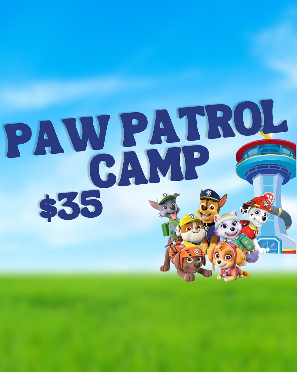 Paw Patrol Camp