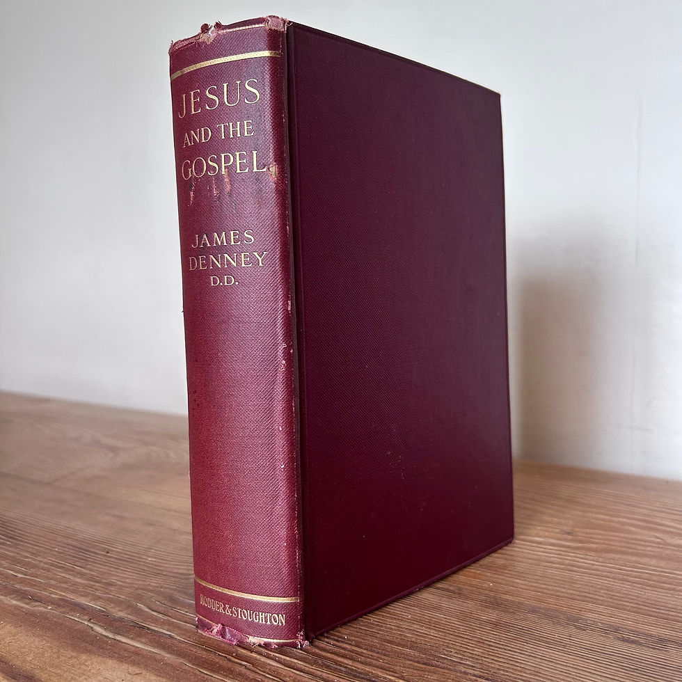 Jesus and the Gospels by James Denney Faith Christianity Bible Religion