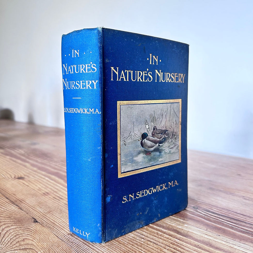 In Natures Nursery-A Children's Nature Story Book by Rev. S. N. Sedgwick