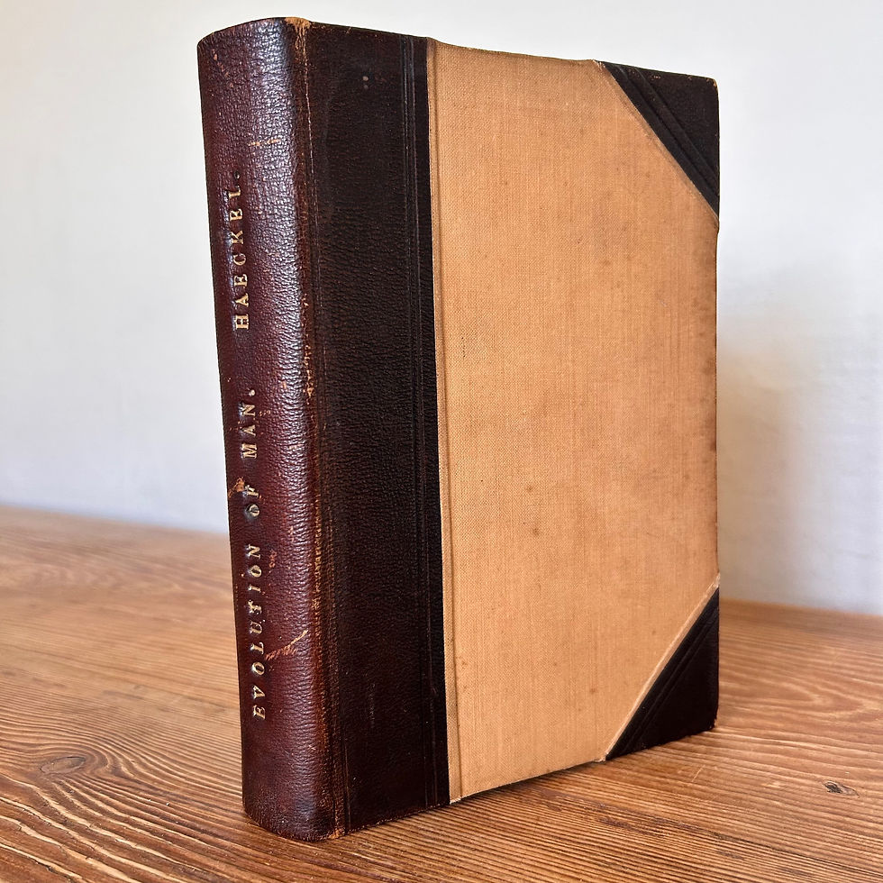 The Evolution Of Man A Popular Scientific Study By Ernst Haeckel Darwinism