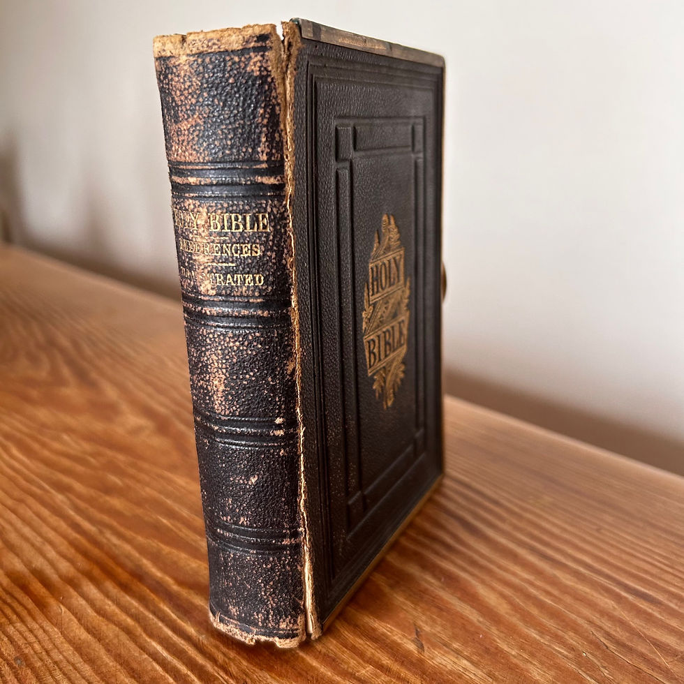 Holy Bible Leather Illustrated Brass Bound with Claps