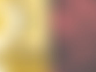 How to Skirt the Bidding War: Agents Share their Strategies