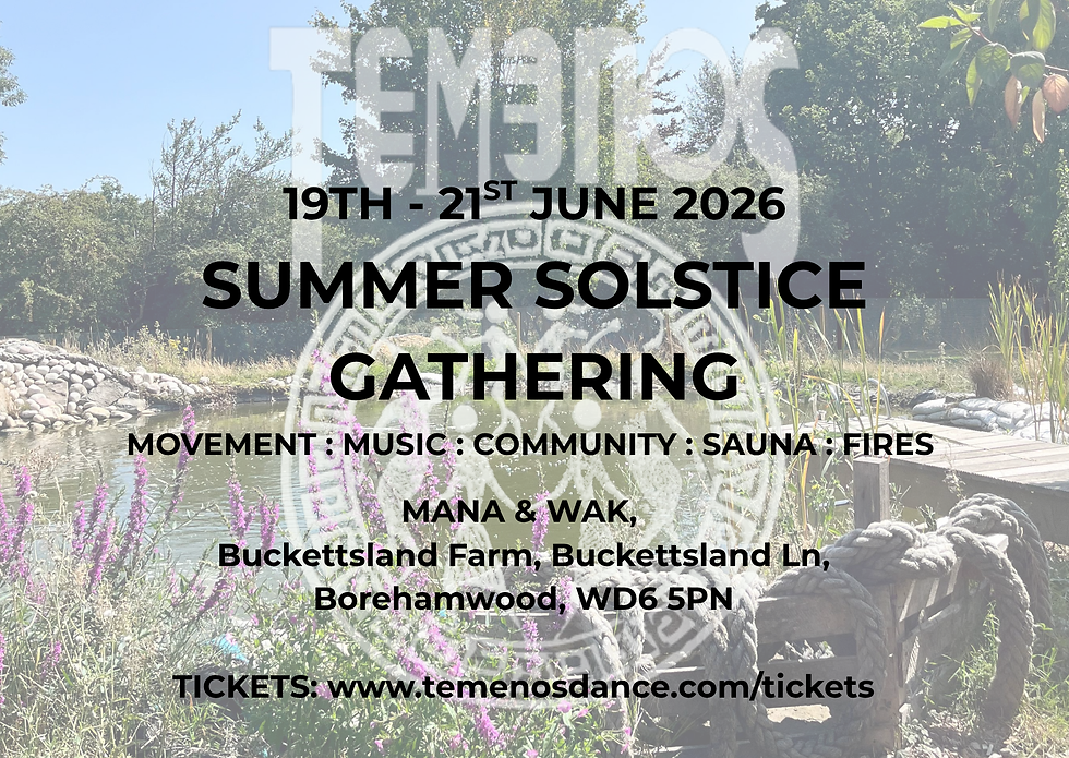 SUMMER SOLSTICE GATHERING 2026