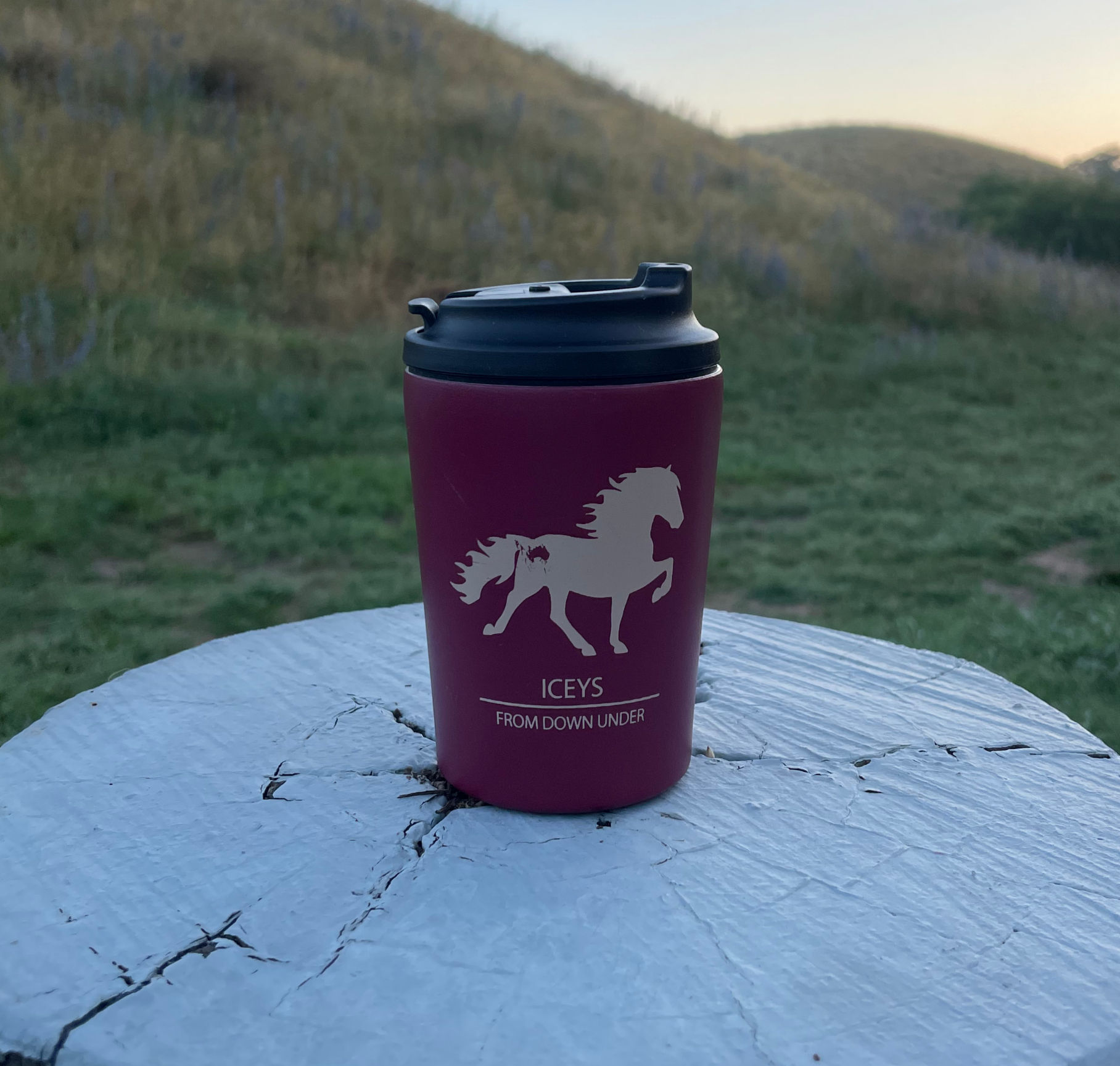 Double Wall Coffee Cup