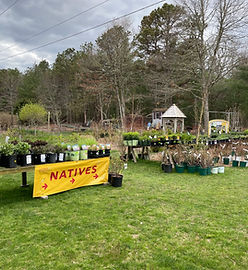 Soares Flower Garden Nursery