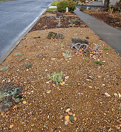 3401 NE Wild Rivers Loop