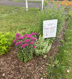 Historic Elmendorph Inn Garden
