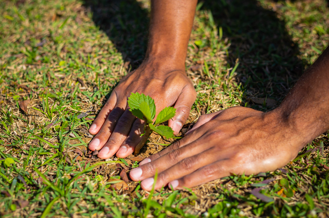 CONTACT US | Garden 31