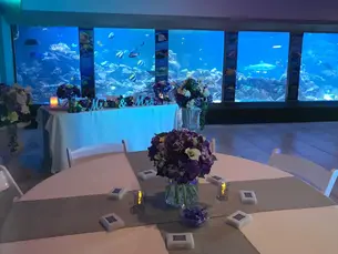 Gulfarium Marine Adventure Park Weddings | Fort Walton Beach, FL