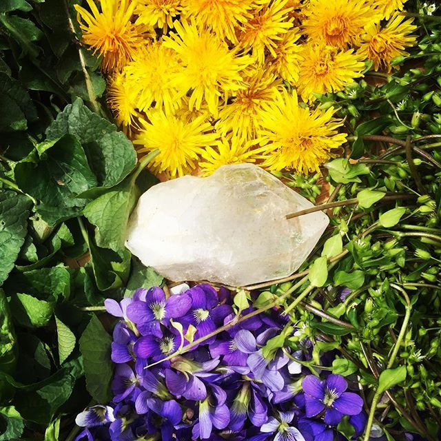 Herbalist Lynchburg Va United States Heart Centered Herbals