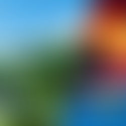 جهان در پرتگاه یا در آستانه گذار از بن‌بست هسته‌ای؟