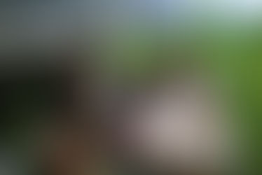 د کوچنیو او دوامداره مرستو اهمیت