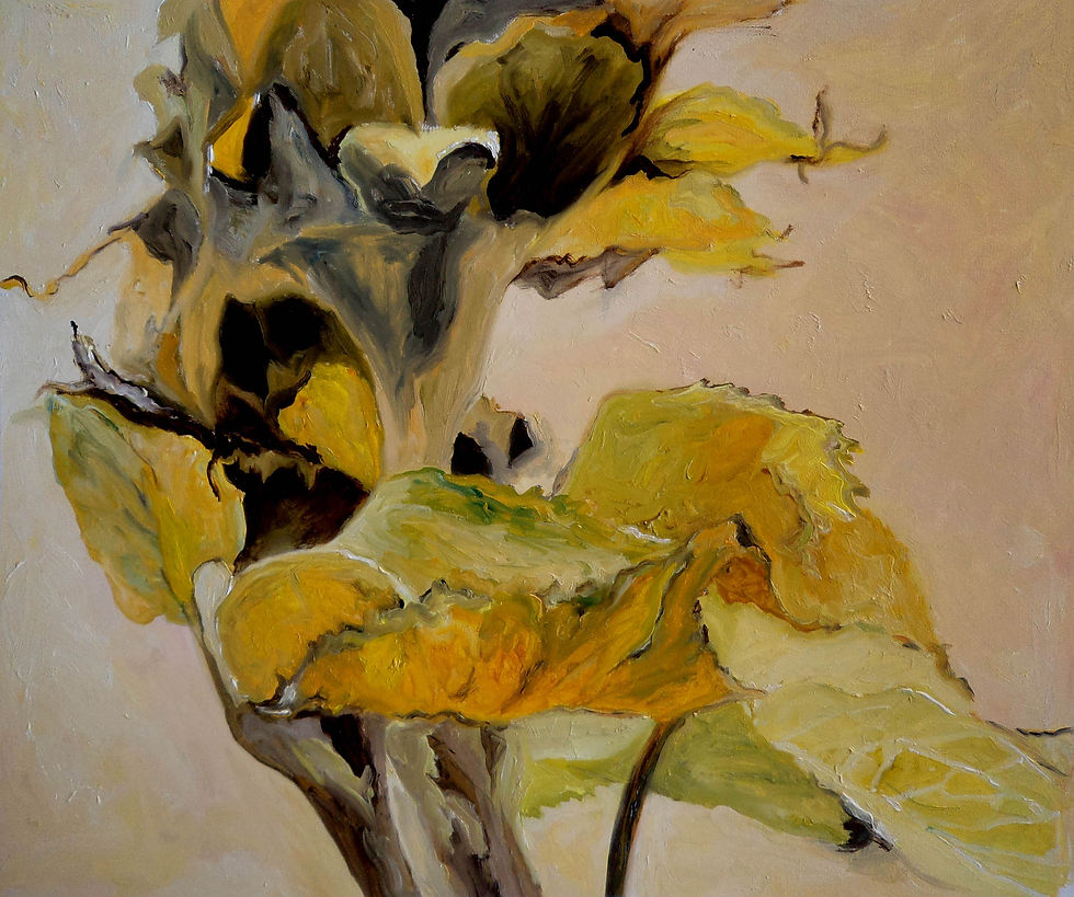 Sunflower with leaves