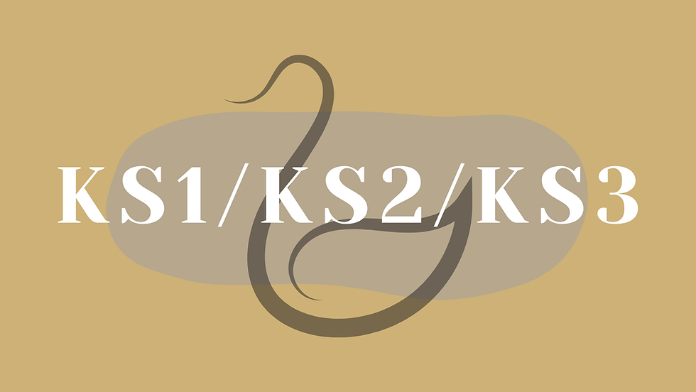 KS1_KS2_KS3.png