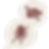Your paragraph text-2.png